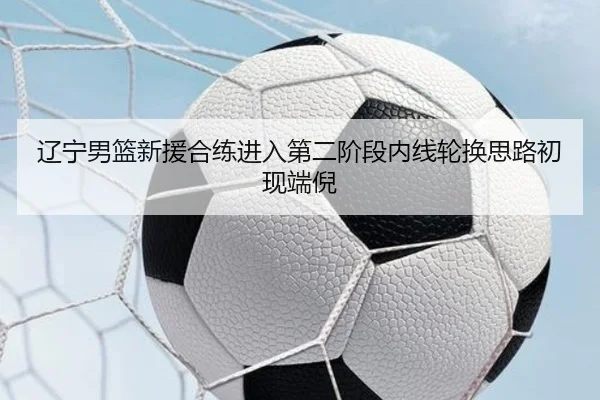 辽宁男篮新援合练进入第二阶段内线轮换思路初现端倪
