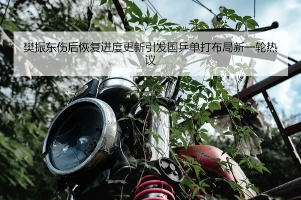 樊振东伤后恢复进度更新引发国乒单打布局新一轮热议